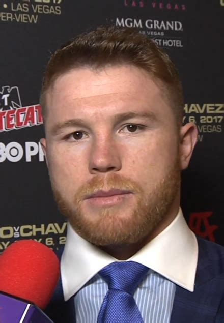 canelo alvarez|canelo alvarez wikipedia.
